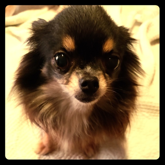 Meet your Posher, Chérie - Picture 2 of 3